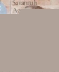 Dr. Harry Collins, DO, FACOG