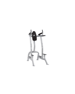 Hoist Vertical Knee Raise / Dip CF-3252