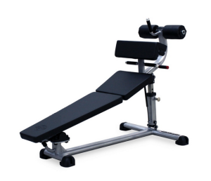 Decline Abdominal/Leg Raise A-166 