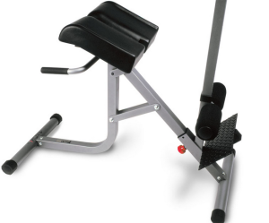 BODYCRAFT 45/90 Hyperextension/Roman Chair F670