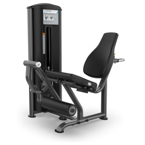 TRUE FITNESS FS-60 Leg Extension