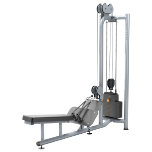 Matrix Magnum Free-standing Dual-pulley Lat Pulldown