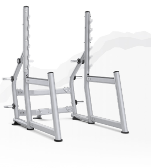 MATRIX Aura Squat Rack