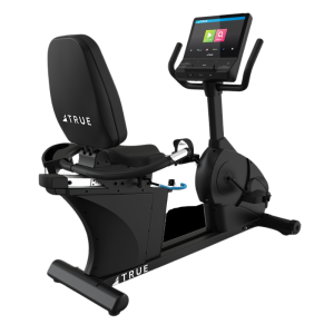 TRUE FITNESS Gravity Recumbent Bike