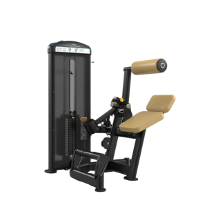 TRUE FITNESS - FUSE 1300 Lower Back Extension Machine