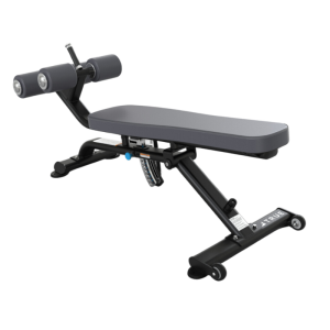 TRUE FITNESS - XFW 5300 Abdominal/Decline Bench