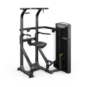 MATRIX Versa Chin/ Dip Assist 