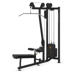 MATRIX Magnum Free-standing Lat Pulldown / Low Row