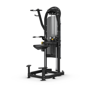 MATRIX Aura Dip / Chin Assist