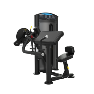 TRUE FITNESS - SD 1001 Biceps/Triceps