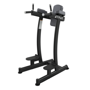  TRUE FITNESS - XFW 6400 Vertical Knee Raise/Dip