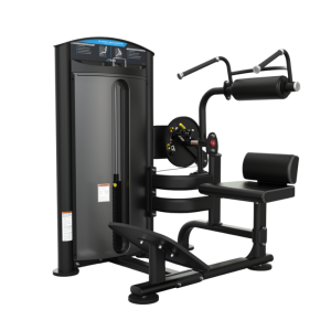 TRUE FITNESS - SD 1004 Ab Crunch/Back Strength Machine