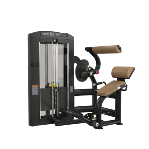 TRUE FITNESS - SPL 1300 Low Back Extension