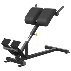 Matrix Varsity Series Back Extension Bench