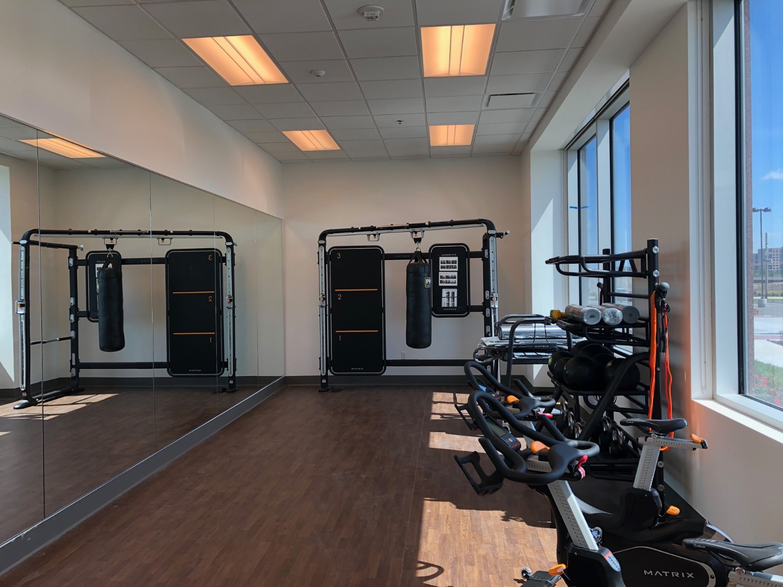 Bgi fitness hotsell commercial division
